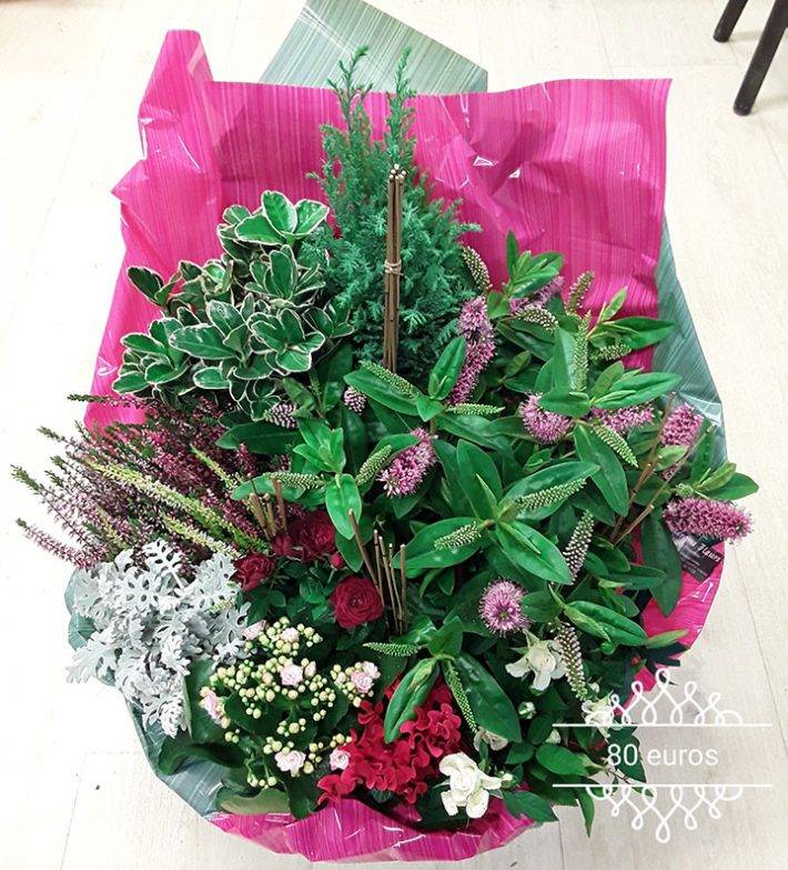 Fleurs