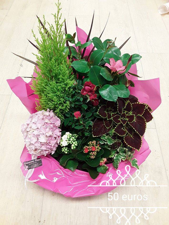 Fleurs